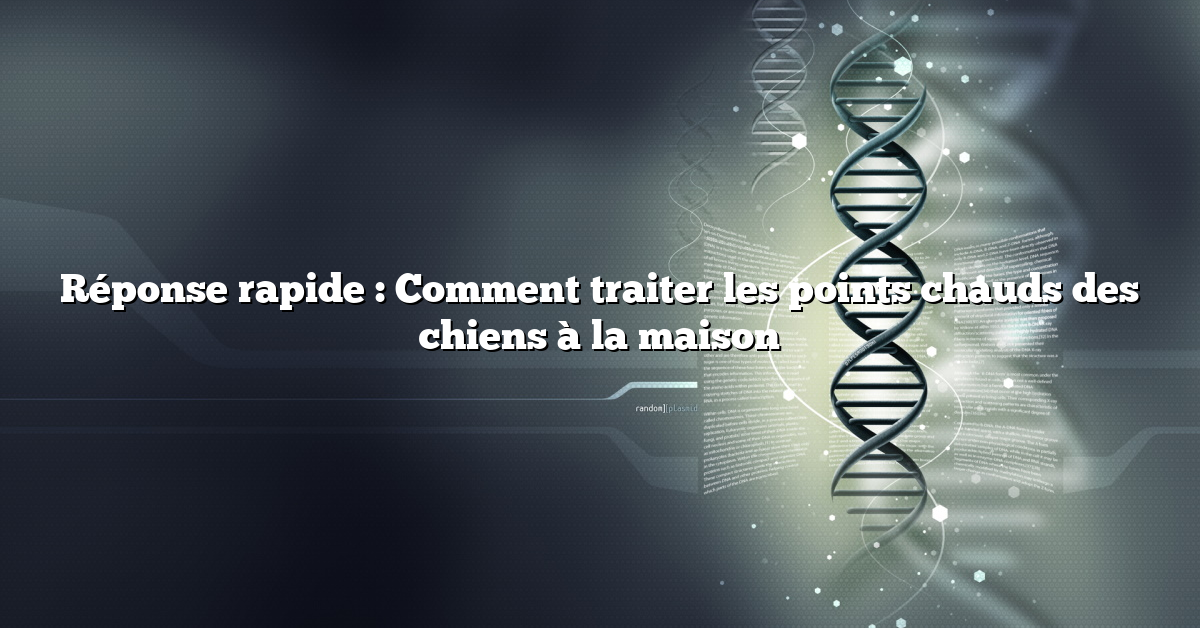 Réponse rapide : Comment traiter les points chauds des chiens à la maison